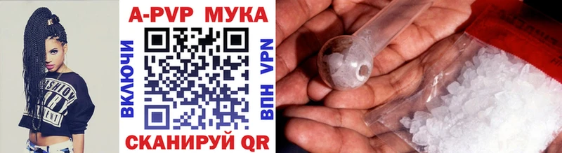 Альфа ПВП СК КРИС  Коряжма 