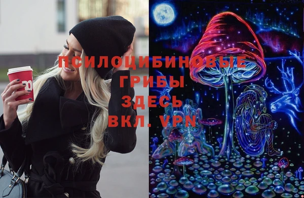 СК Богородицк