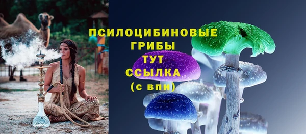 СК Богородицк