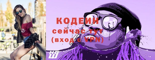 гидра Сясьстрой